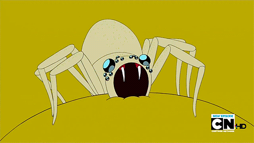 ticks