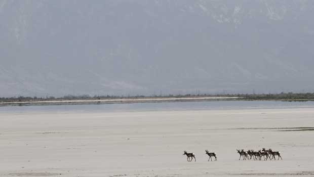 Antelope_Island_State_Park_Utah