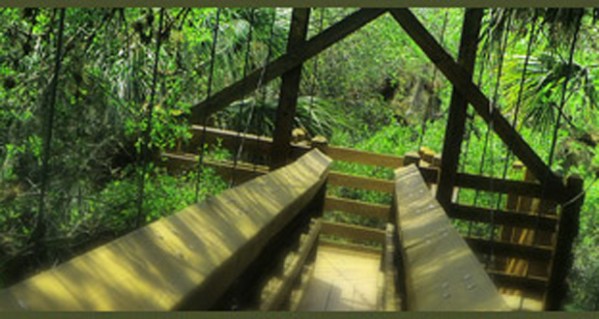 Myakka River State Park bridge