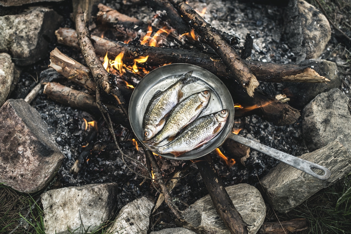 8 Helpful Tips For Cooking Over An Open Fire