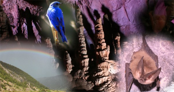 lewis and clark caverns state park cave