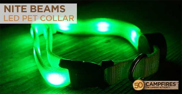 nite beams LED pet collar