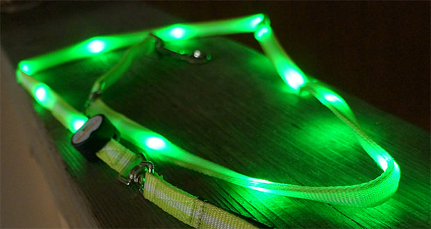 nite beams LED pet leash