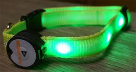 nite beams led pet collar