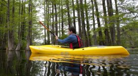 recreational kayak