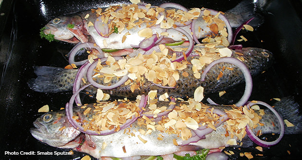 BurnedButterTroutRecipes trout recipes