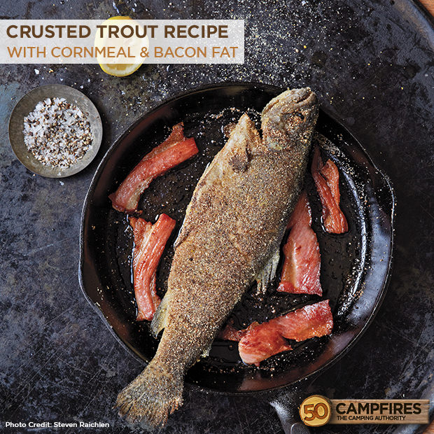 trout recipe