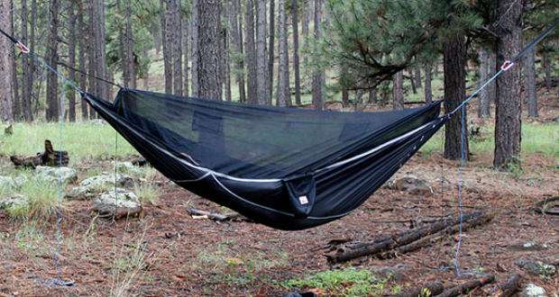 hammock bliss sky bed bug free