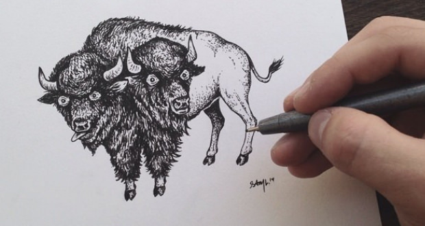 sam larson steel bison sam larson steel bison