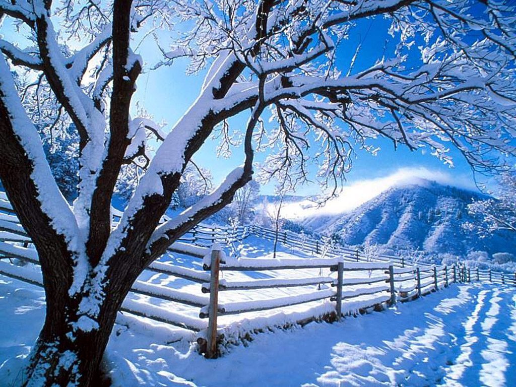 winterseason winterseason