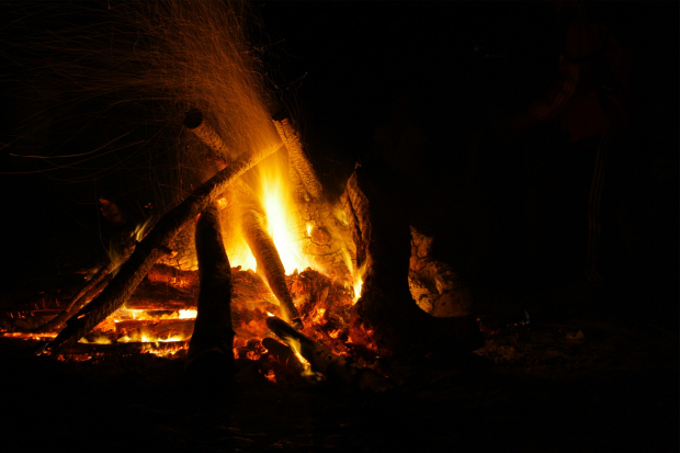 Birch bark firestarter