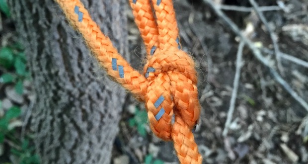 Bowline knot Bowline knot