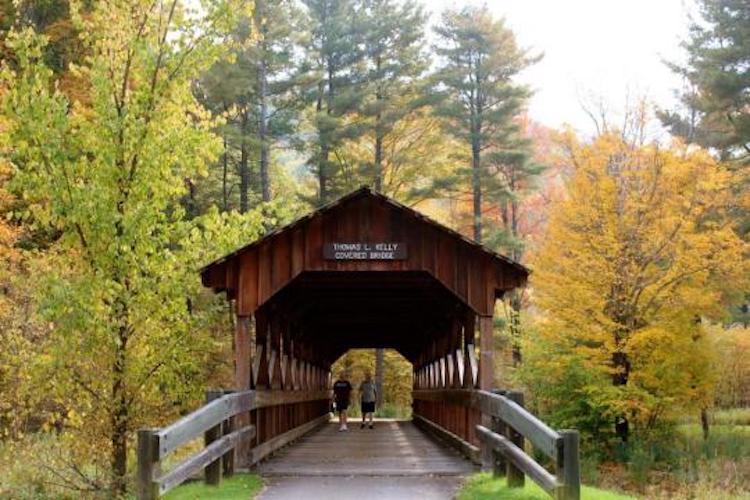 Allegany State Park