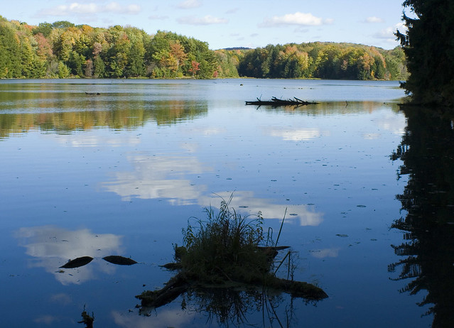 Hills Creek State Park