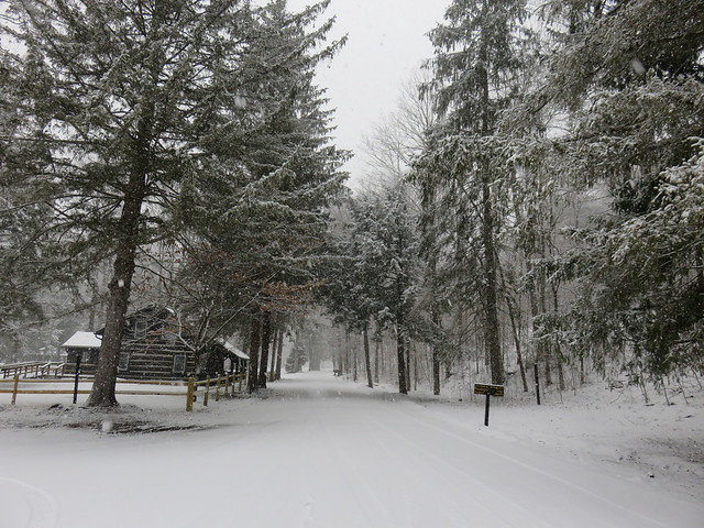 Ole Bull State Park