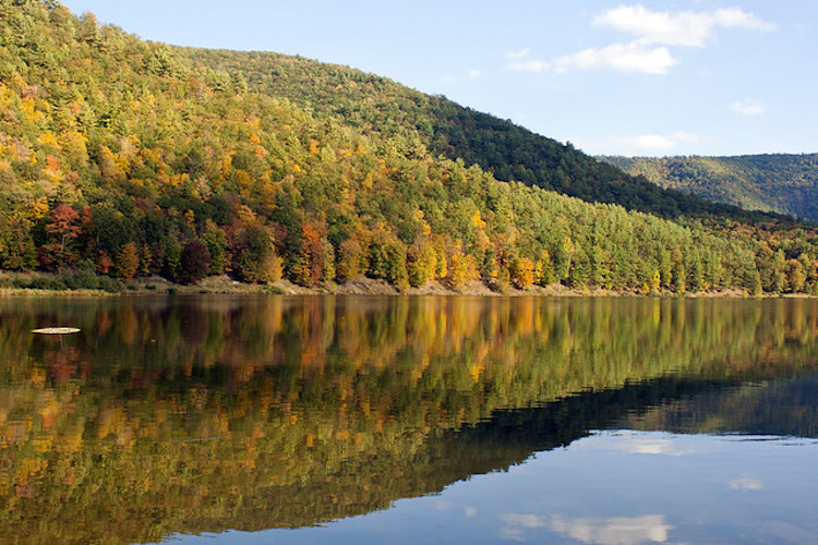 Sinnemahoning State Park