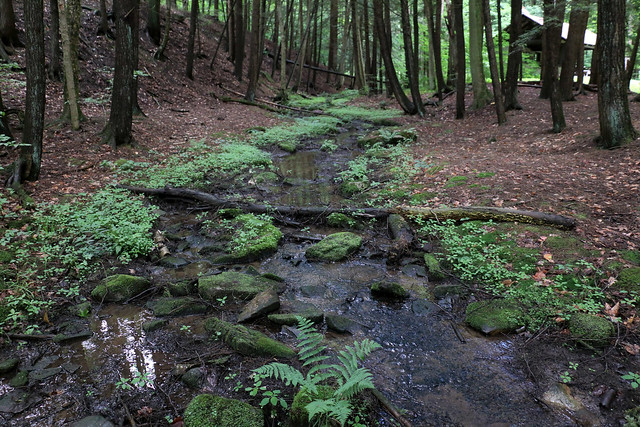 Sizerville State Park