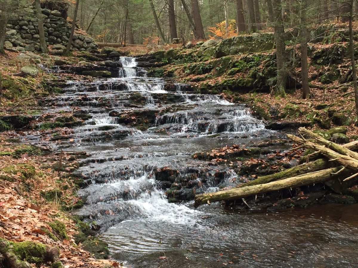 Stokes State Forest