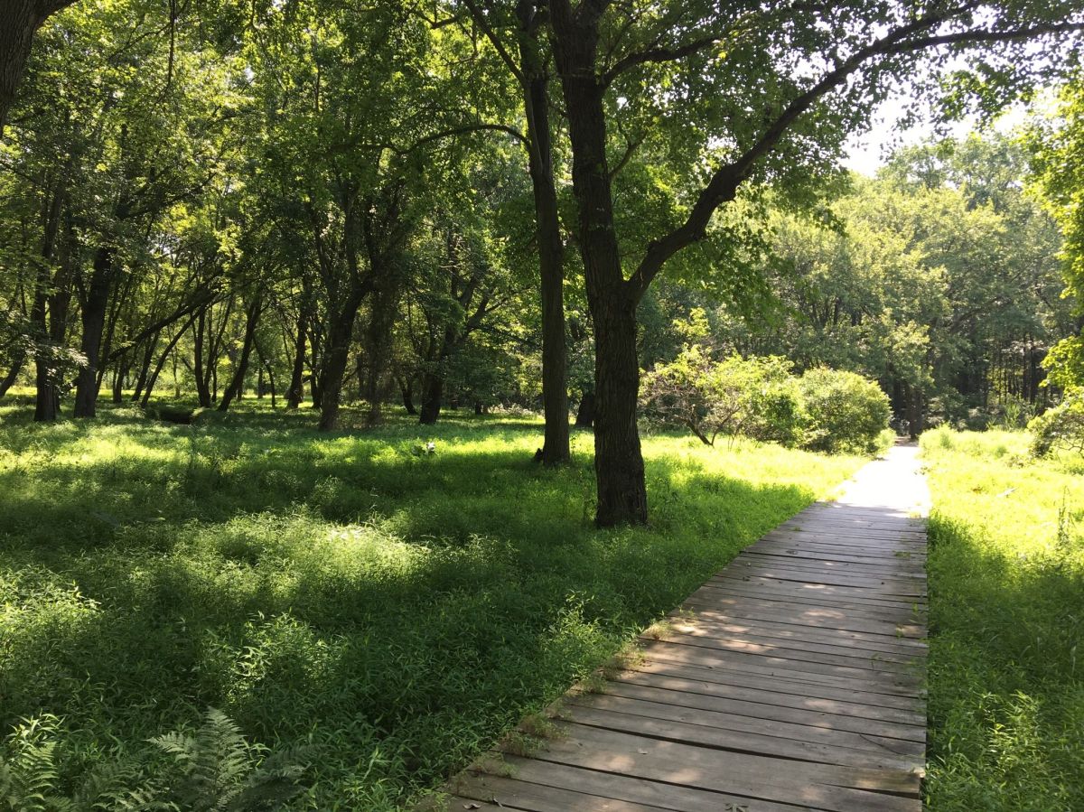 Cheesequake State Park