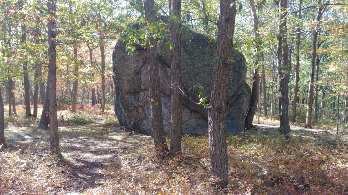 Beaver Pond Campgrounds