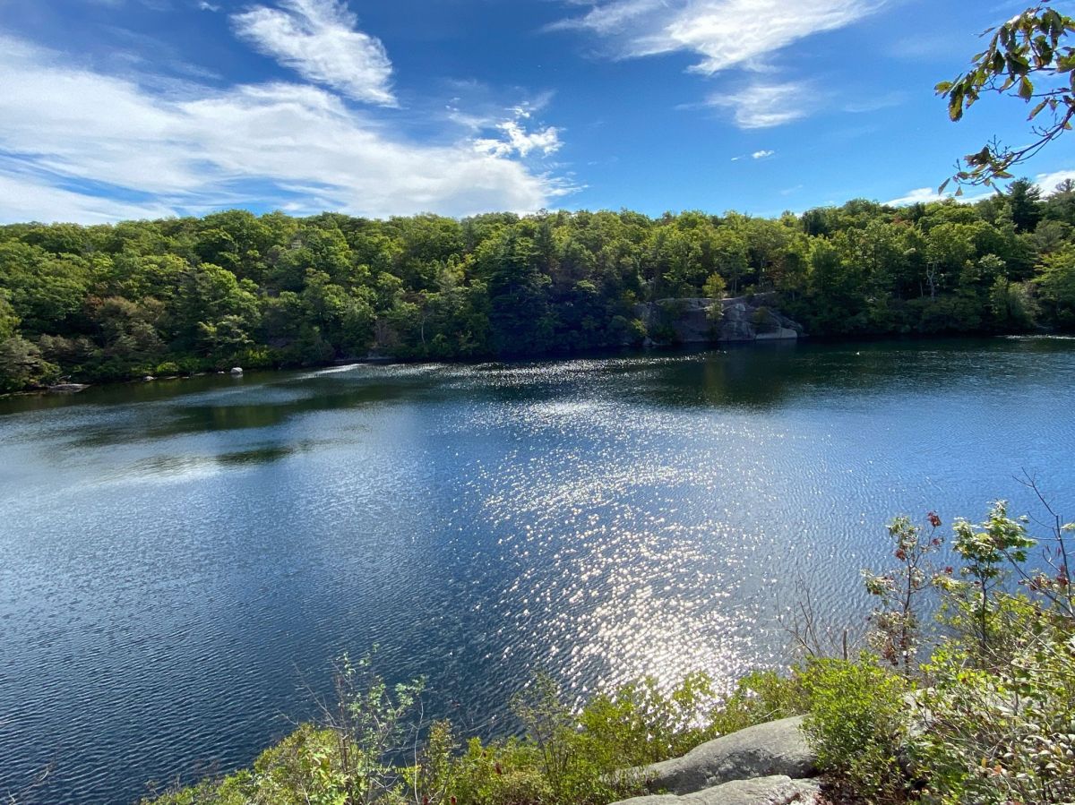 Wawayanda Campground