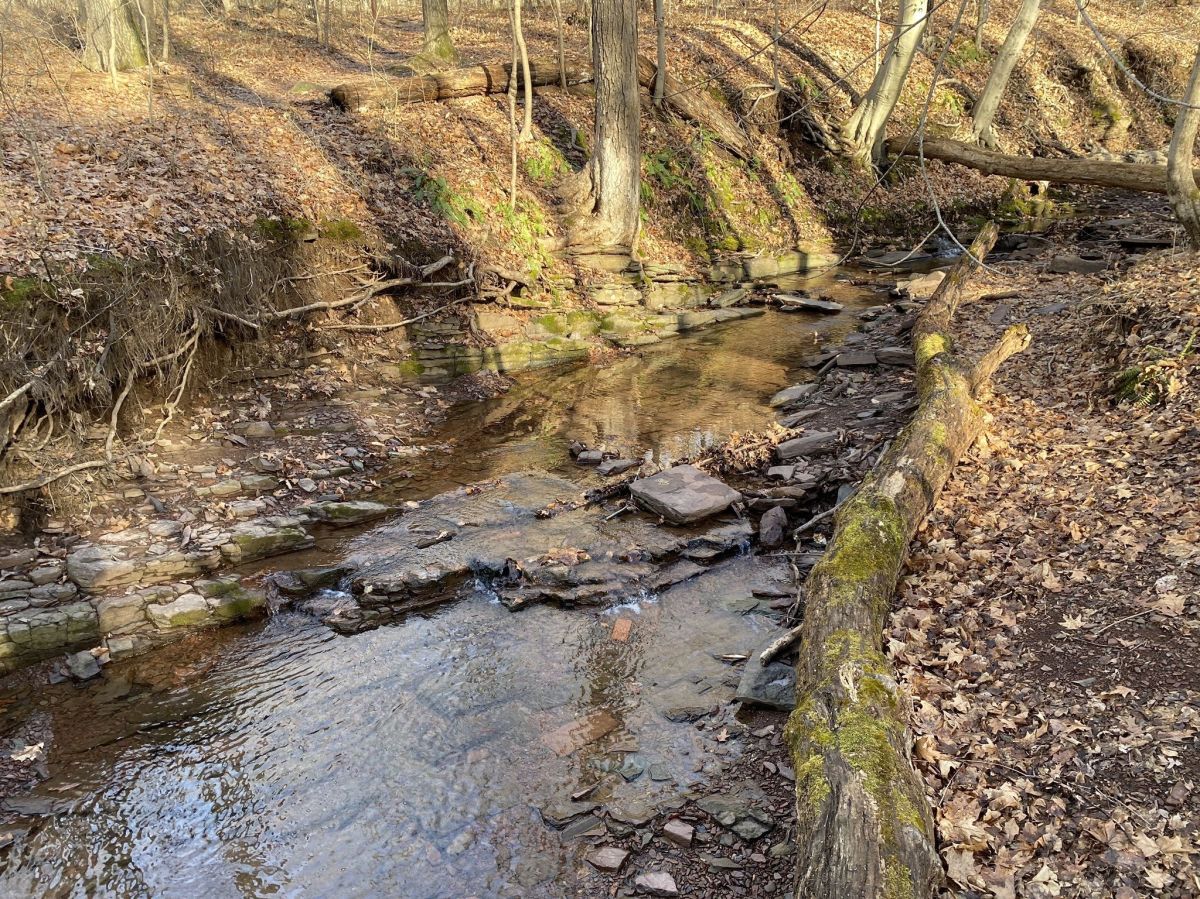 Washington Crossing State Park