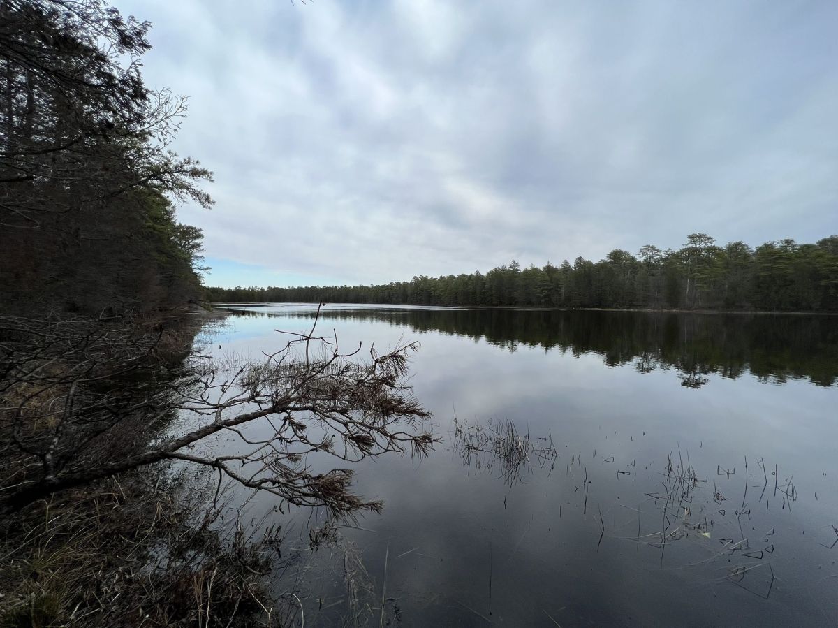 Godfrey Bridge Camping Area