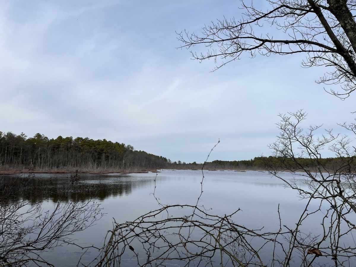 Buttonwood Hill Camping Area