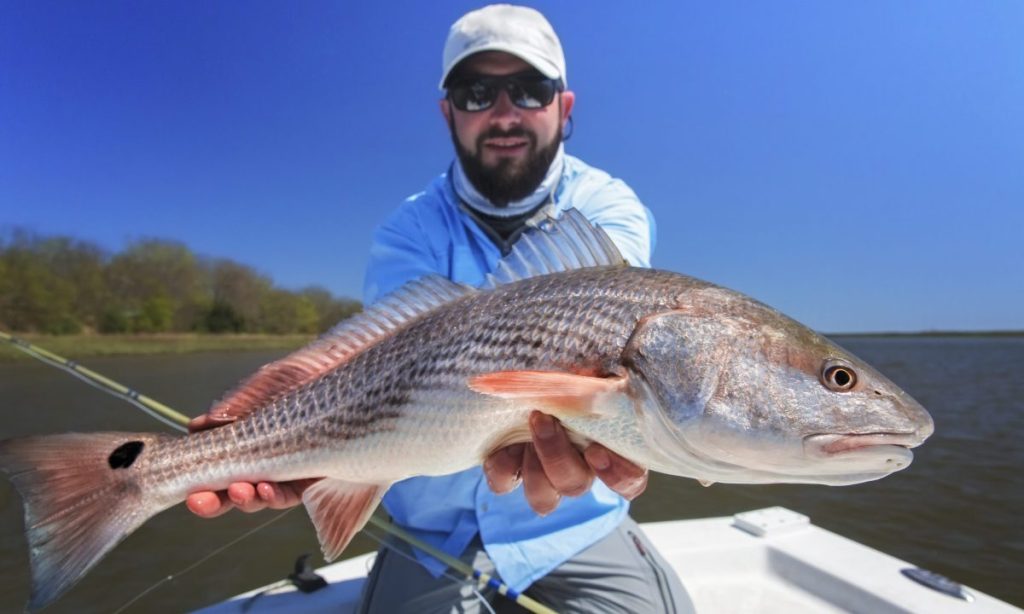 Fisherman with a large redfish