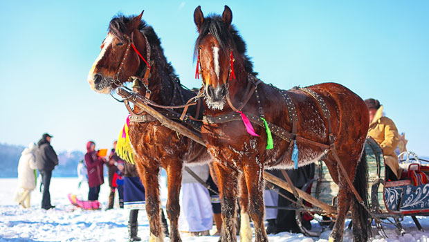 Great_Winter_Sleigh_Rides_Minnesota_Winter_Horse_Romantic_Activities