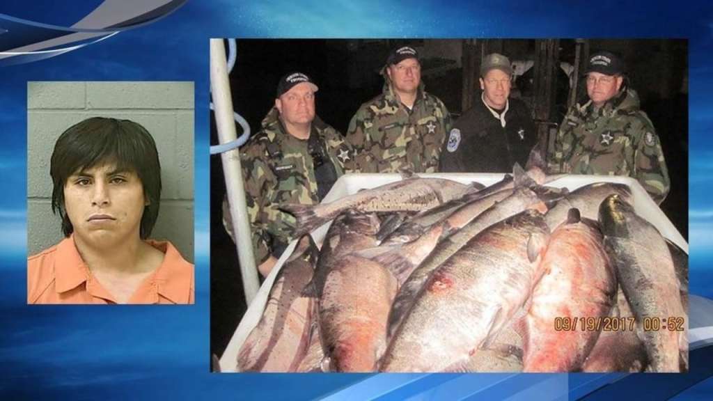 illegal fishing, fishing, oregon, salmon