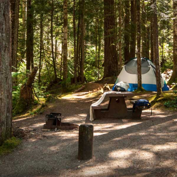 outdoor lovers are sure to love the Heart o' the Hills Campground in Washington's Olympic National Park