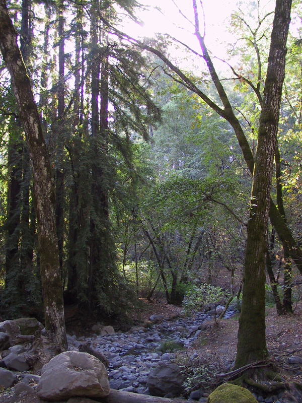 Bothe-Napa Valley State Park