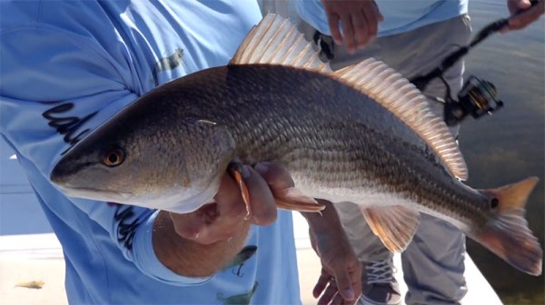 flats fishing