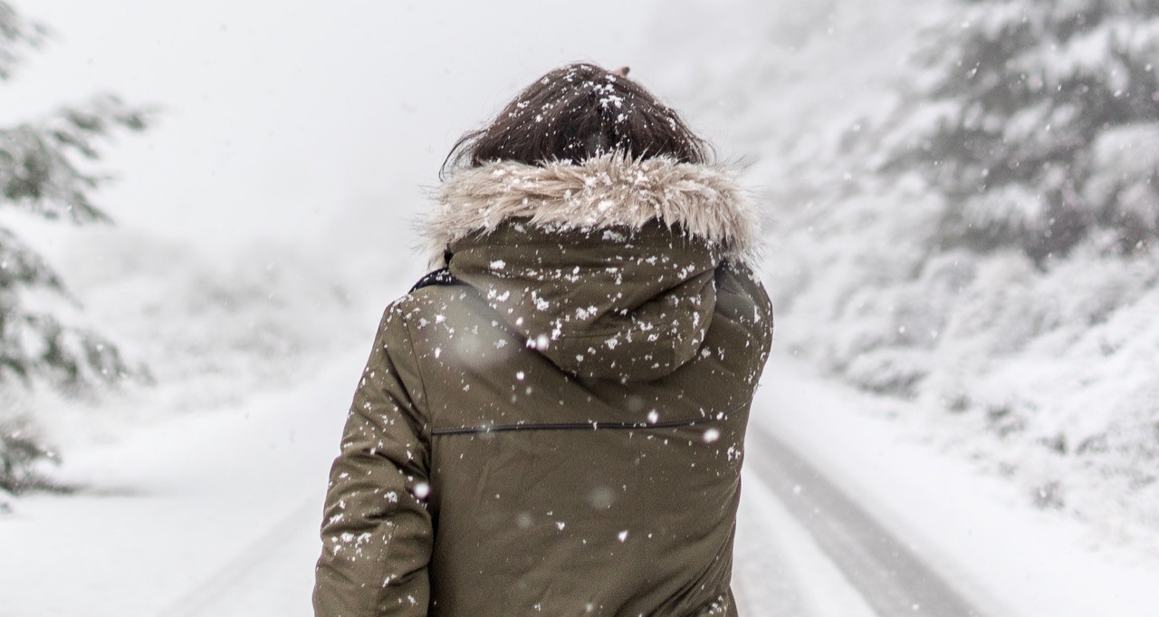 what to look for in a winter parka