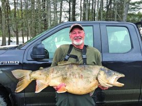 lake trout