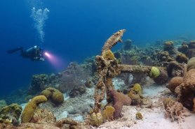 artificial reefs