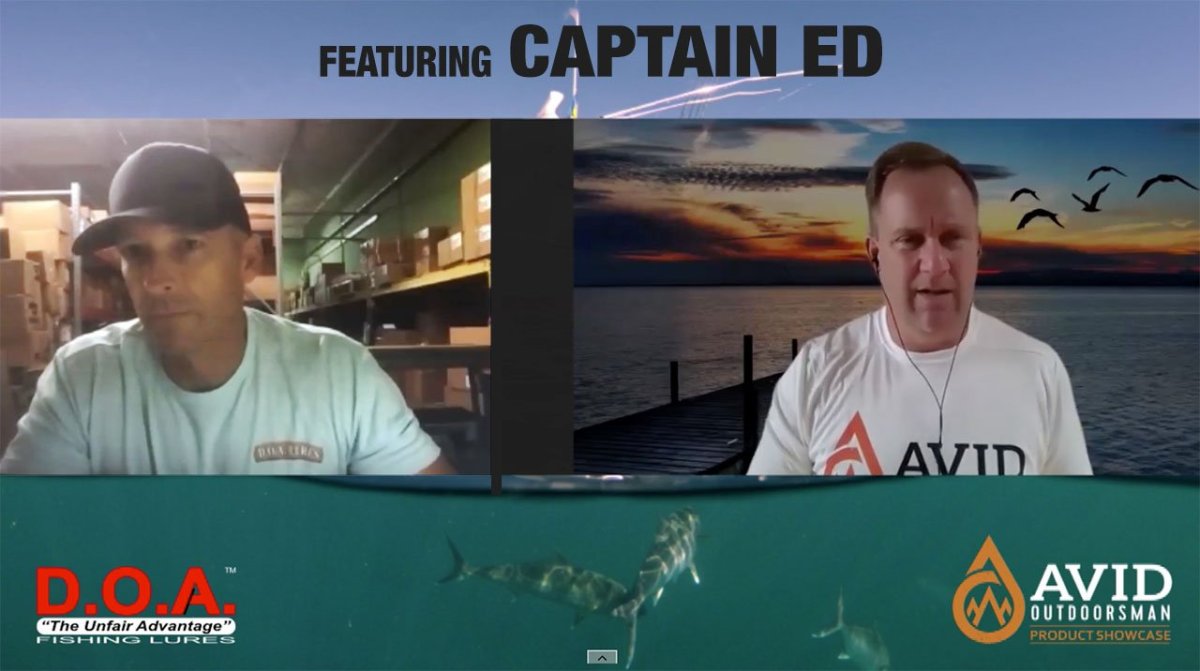 AVID-PRODUCT-SHOWCASE-DOA-LURES-CAPTAIN-ED