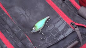 rapala