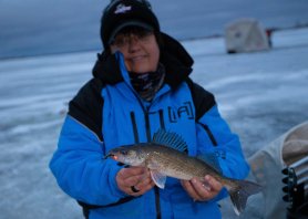 jig for walleye