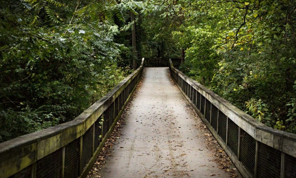 Empty footbridge amidst trees in forest,Nashville,Tennessee,United States,USA