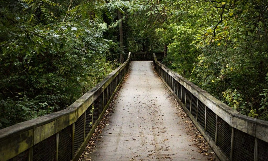 Empty footbridge amidst trees in forest,Nashville,Tennessee,United States,USA Empty footbridge amidst trees in forest,Nashville,Tennessee,United States,USA