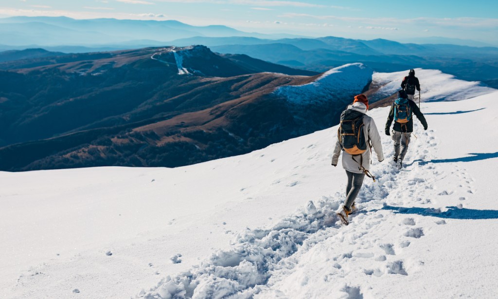 Group of male and female hikers wearing warm clothes and backpacks, hiking and reaching the top of the snowy mountain during sunny winter day