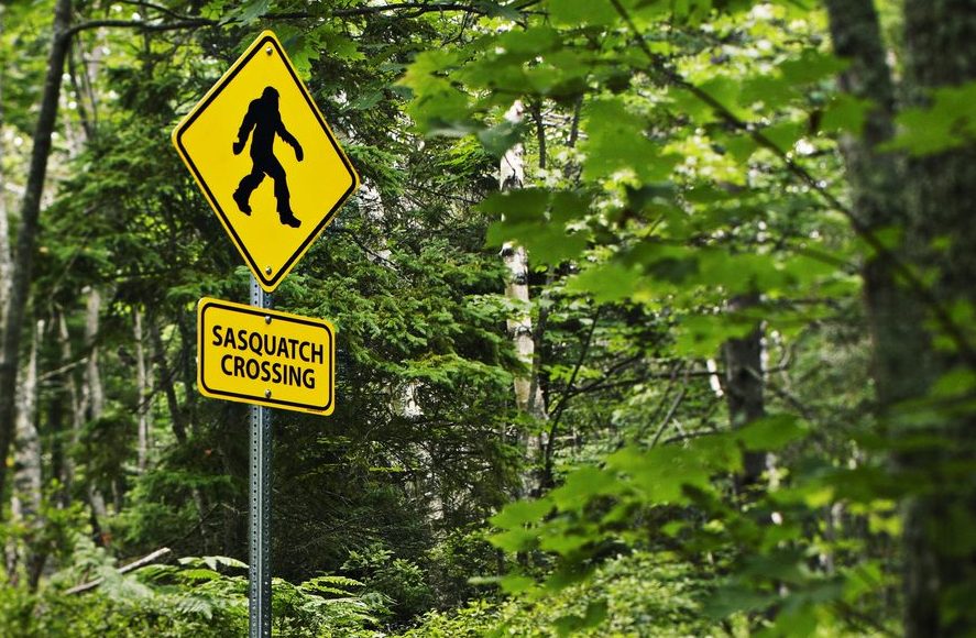 sasquatch crossing sign in the woods