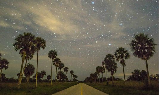 cloudy-stars-at-night-at-big-cypress-national-preserve_800