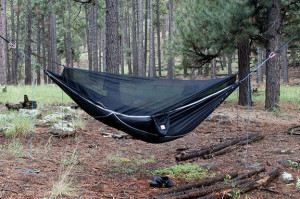 Hammock Bliss Sky Bed Bug Free Overview
