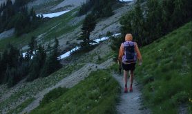 PCT Goat Rocks Wilderness