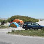 Assateague Island