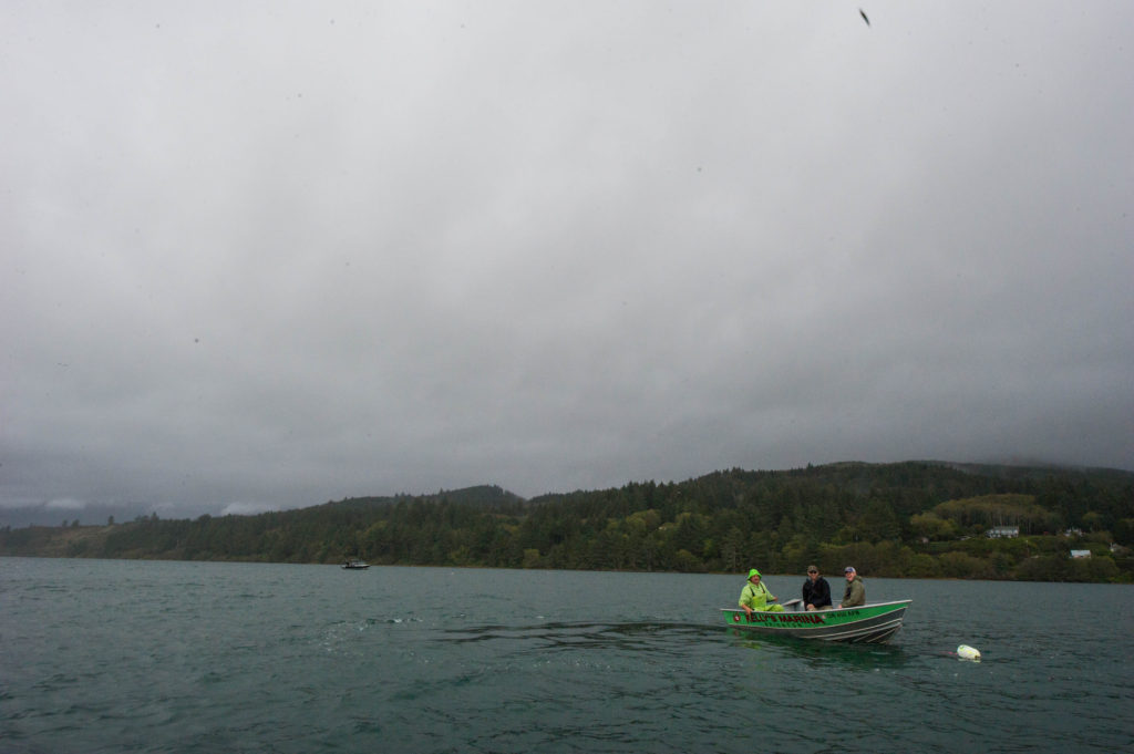 crabbing on the oregon coast