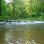 David Crockett State Park 
